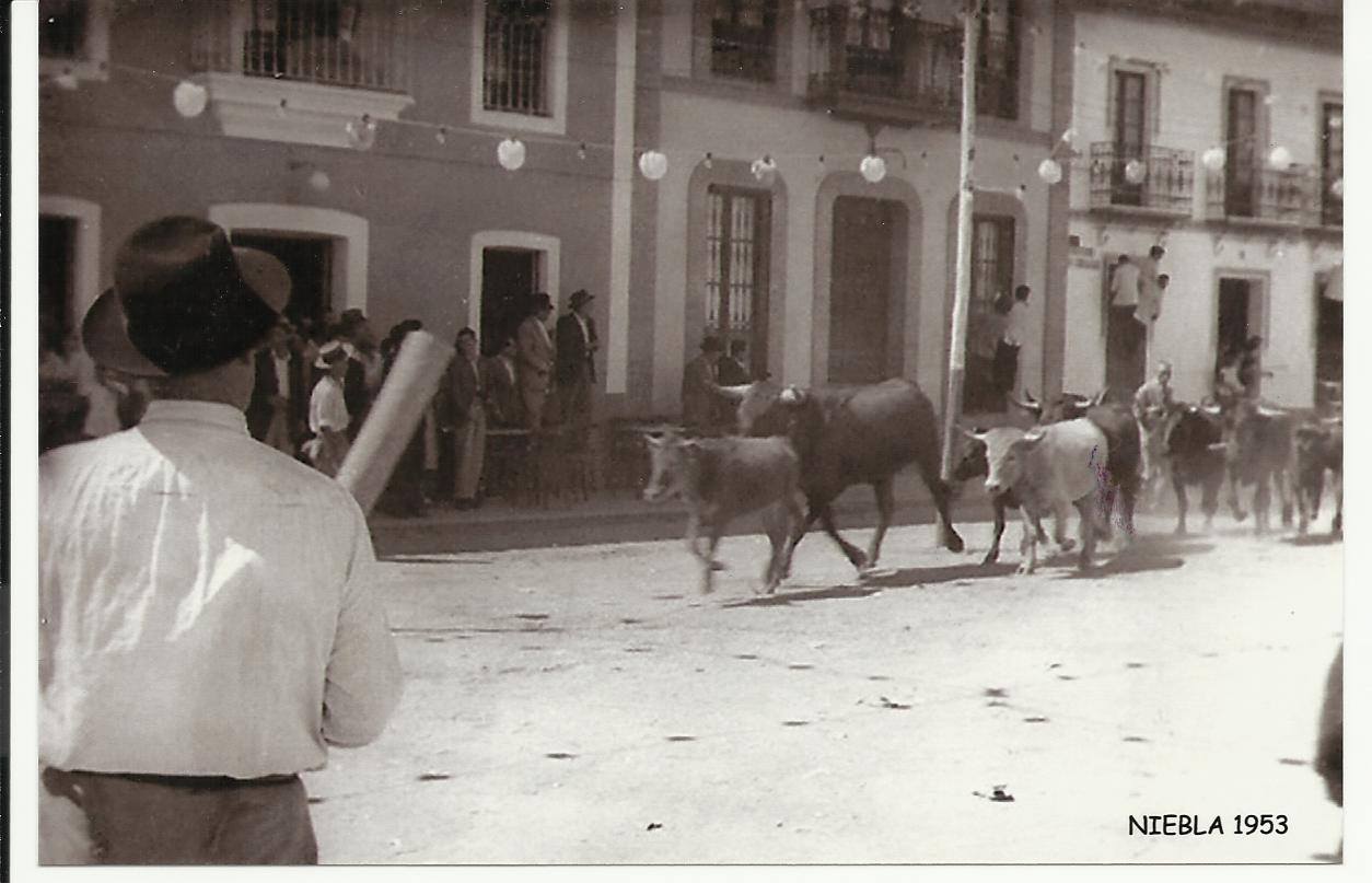 10452970_861799360517008_7277335746492311023_o