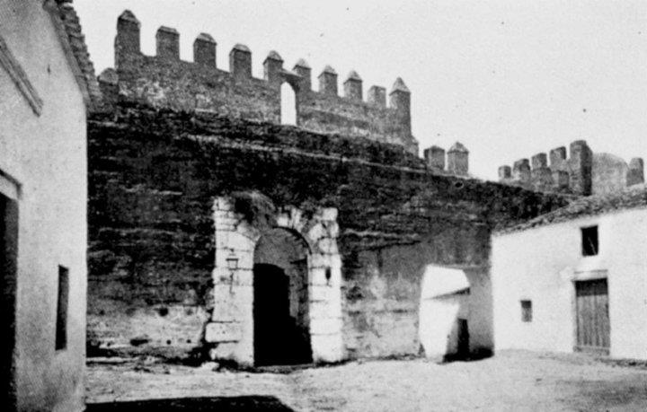 295023_233266206789811_194239420_n