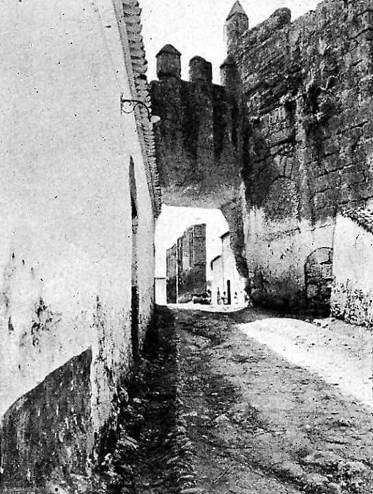 FB_IMG_1537951894619